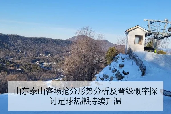 山东泰山客场抢分形势分析及晋级概率探讨足球热潮持续升温